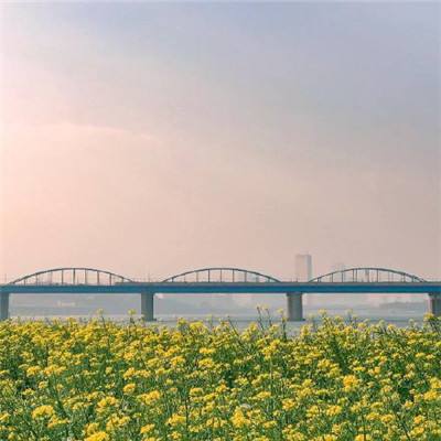综合消息丨“汉语桥”比赛在多国举行 让青少年更了解中国文化
