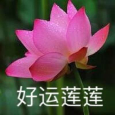 新华社权威快报丨中国科学家博物馆开馆